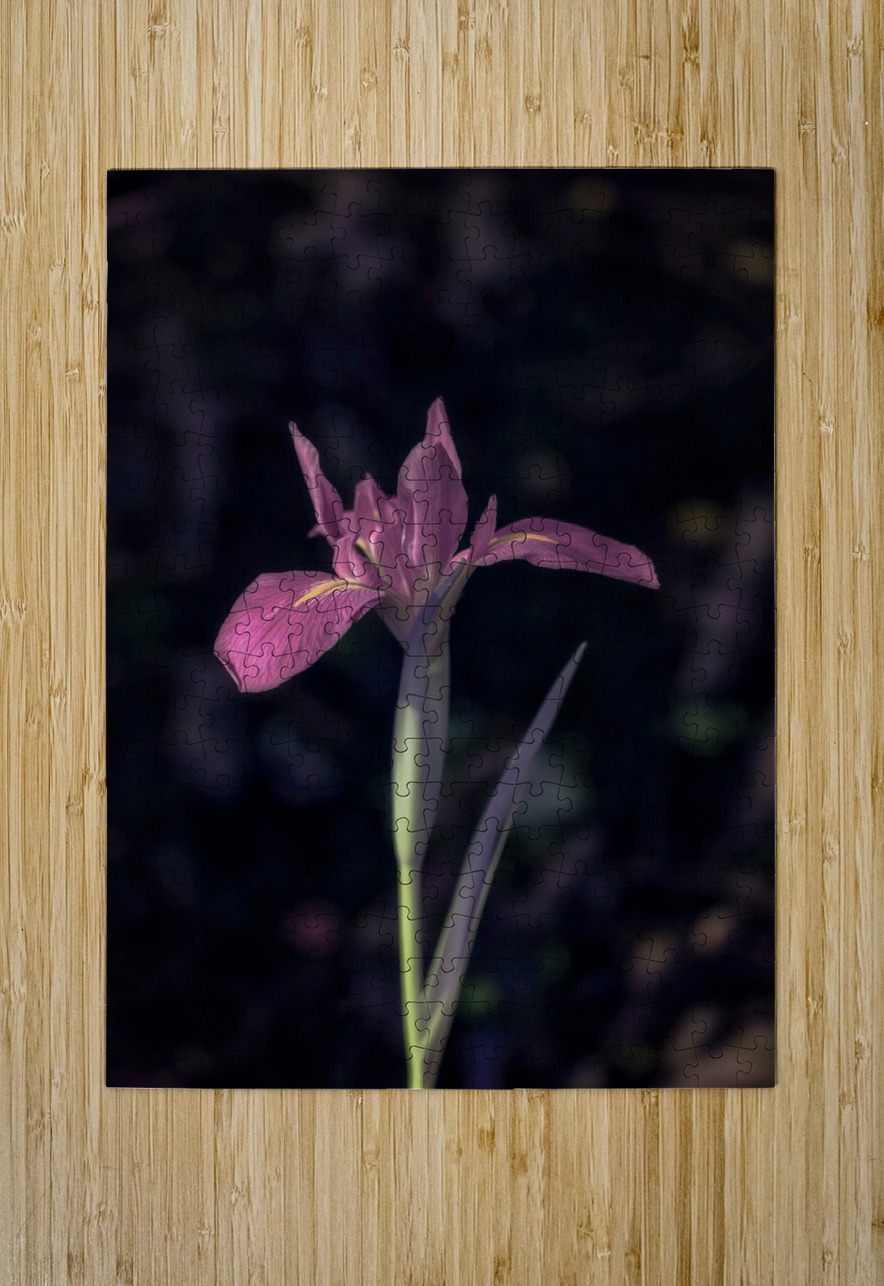 Texas Flower Dream World Images Puzzle printing