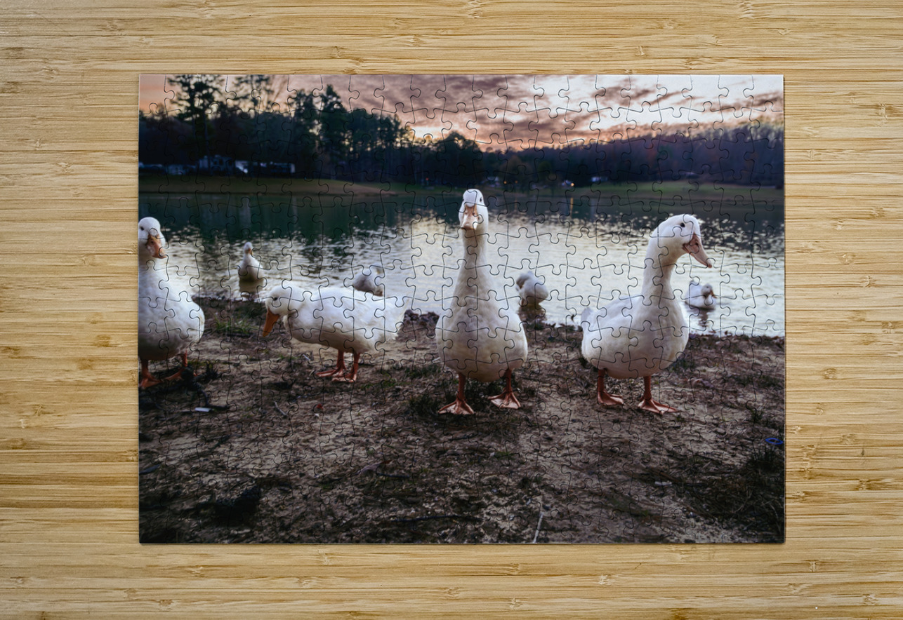 We are Coming Dream World Images Puzzle printing