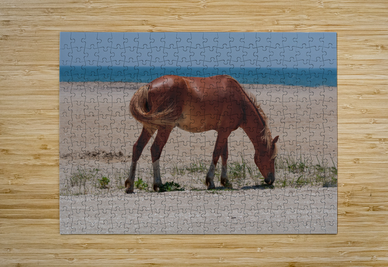 Coastal Grazing Dream World Images Puzzle printing