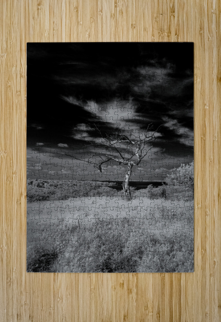 Symphony of Light and Shadow Dream World Images Puzzle printing