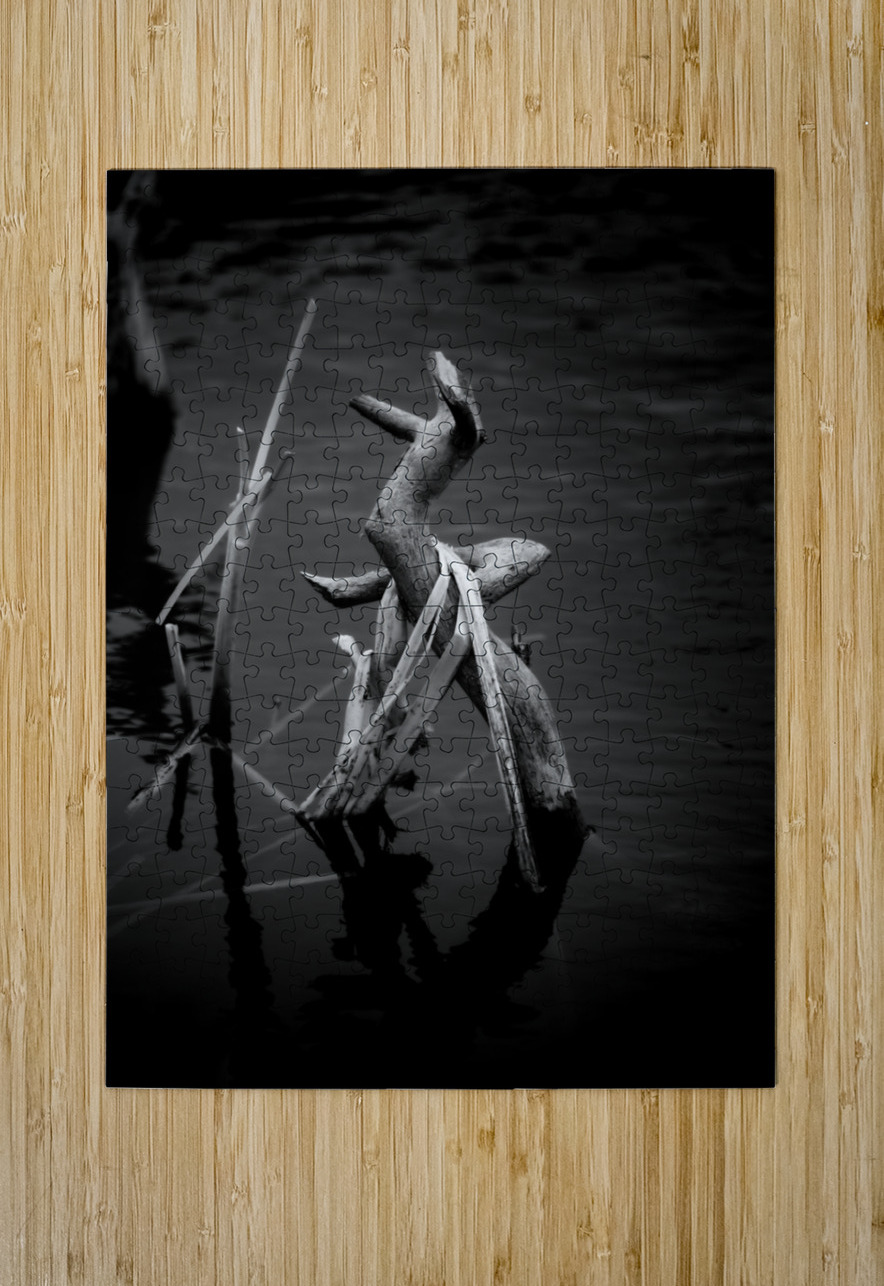 Sylvans Skeleton Waltz Dream World Images Puzzle printing