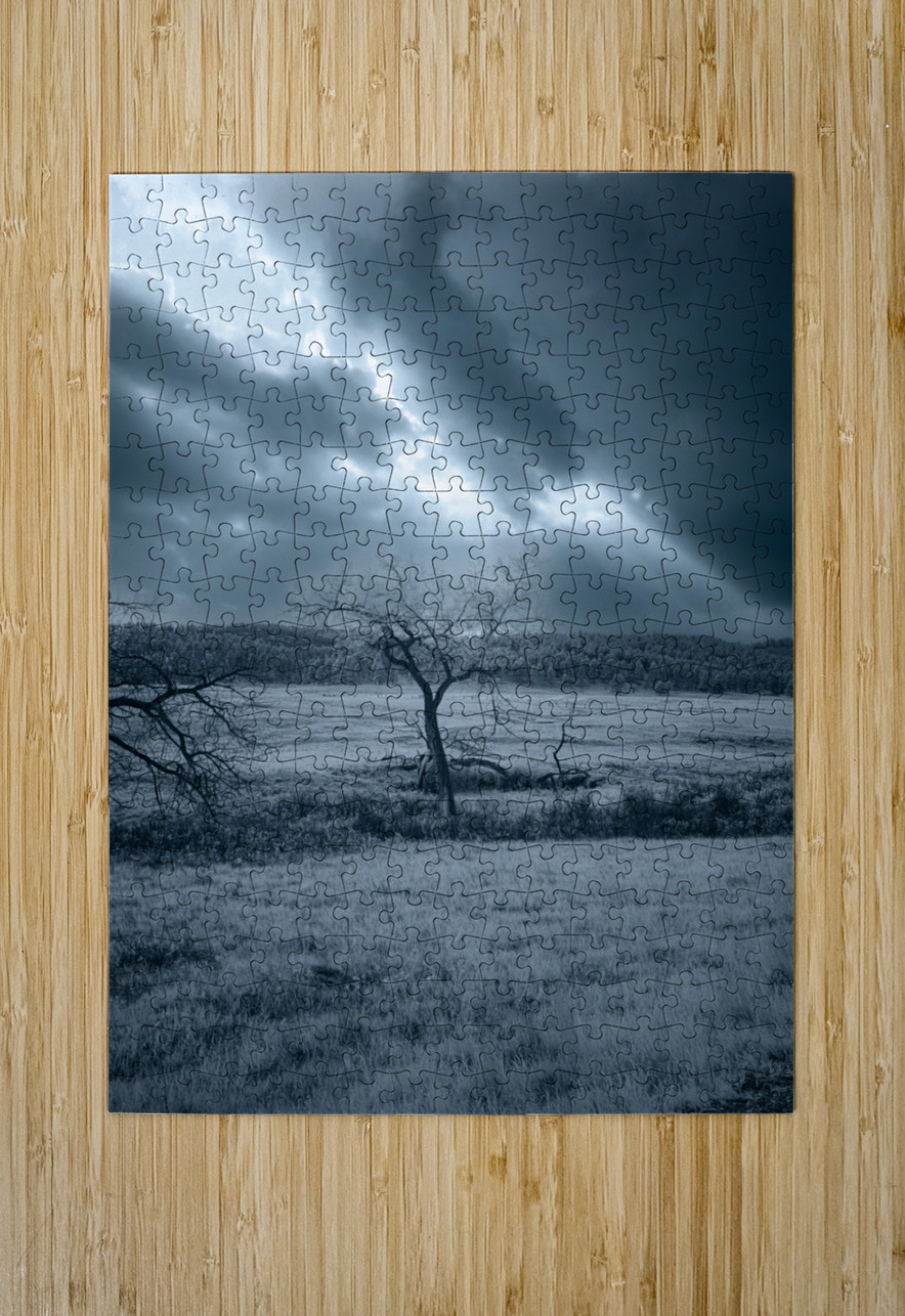 Solace in Solitude: A Blue Lighted Tree in Infrared Dream World Images Puzzle printing