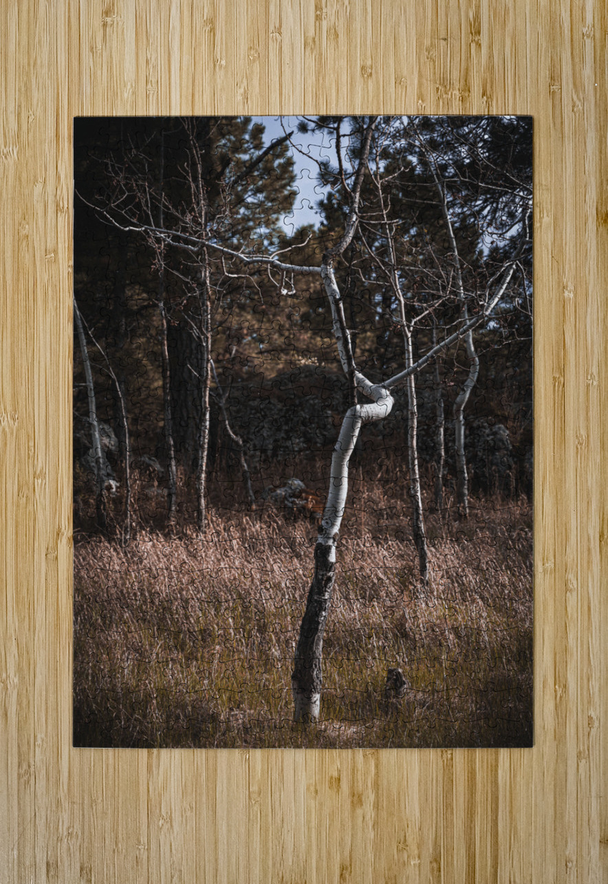 Birch Curves Dream World Images Puzzle printing