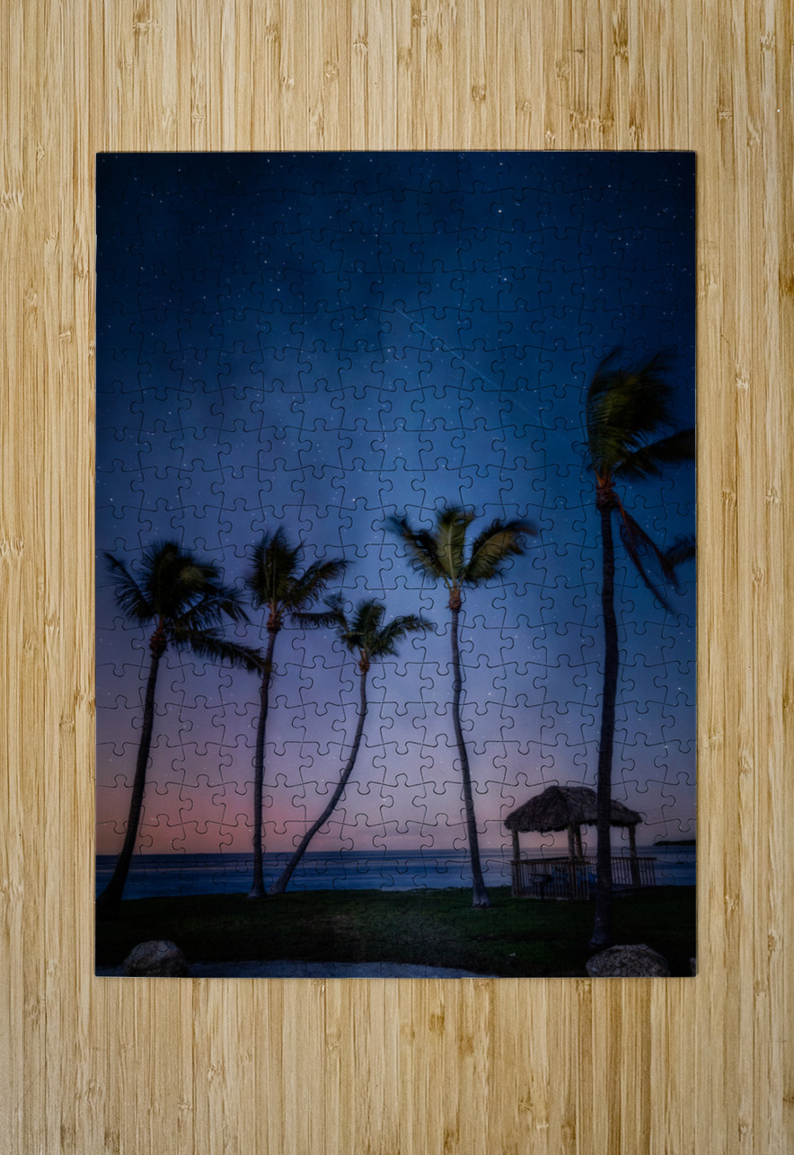 Starry Night at Sunshine Dream World Images Puzzle printing