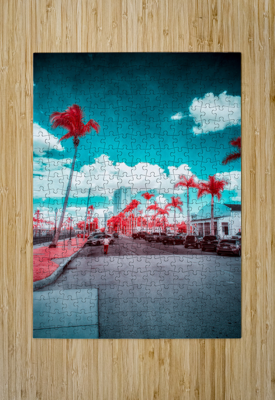 Urban Mirage: Fort Myers Street in Infrared Splendor Dream World Images Puzzle printing