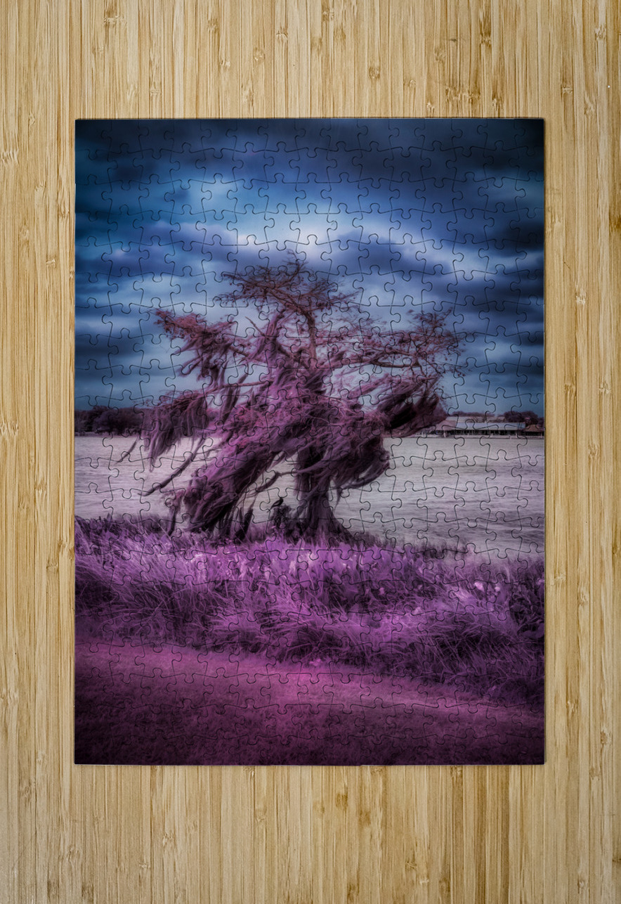 Purple Shelter: A Tranquil Stroll Through Venetian Gardens in Le Dream World Images Puzzle printing