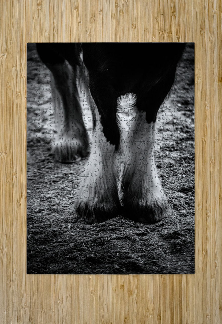 Hoofed Elegance: Exploring the Intricate Details of a Florida Horse Dream World Images Puzzle printing