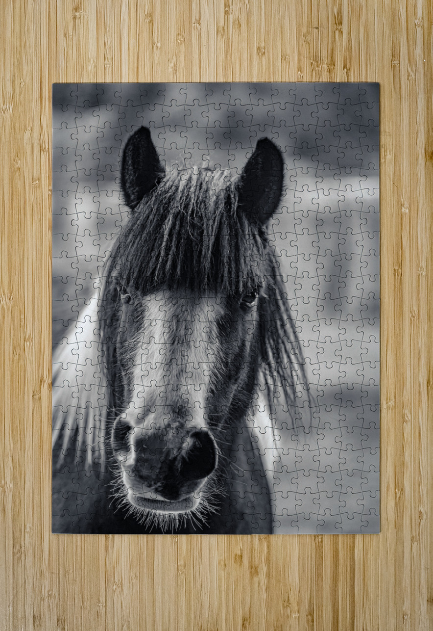 Curious Gaze: A Captivating Encounter with a Silent Horse  Dream World Images Puzzle printing