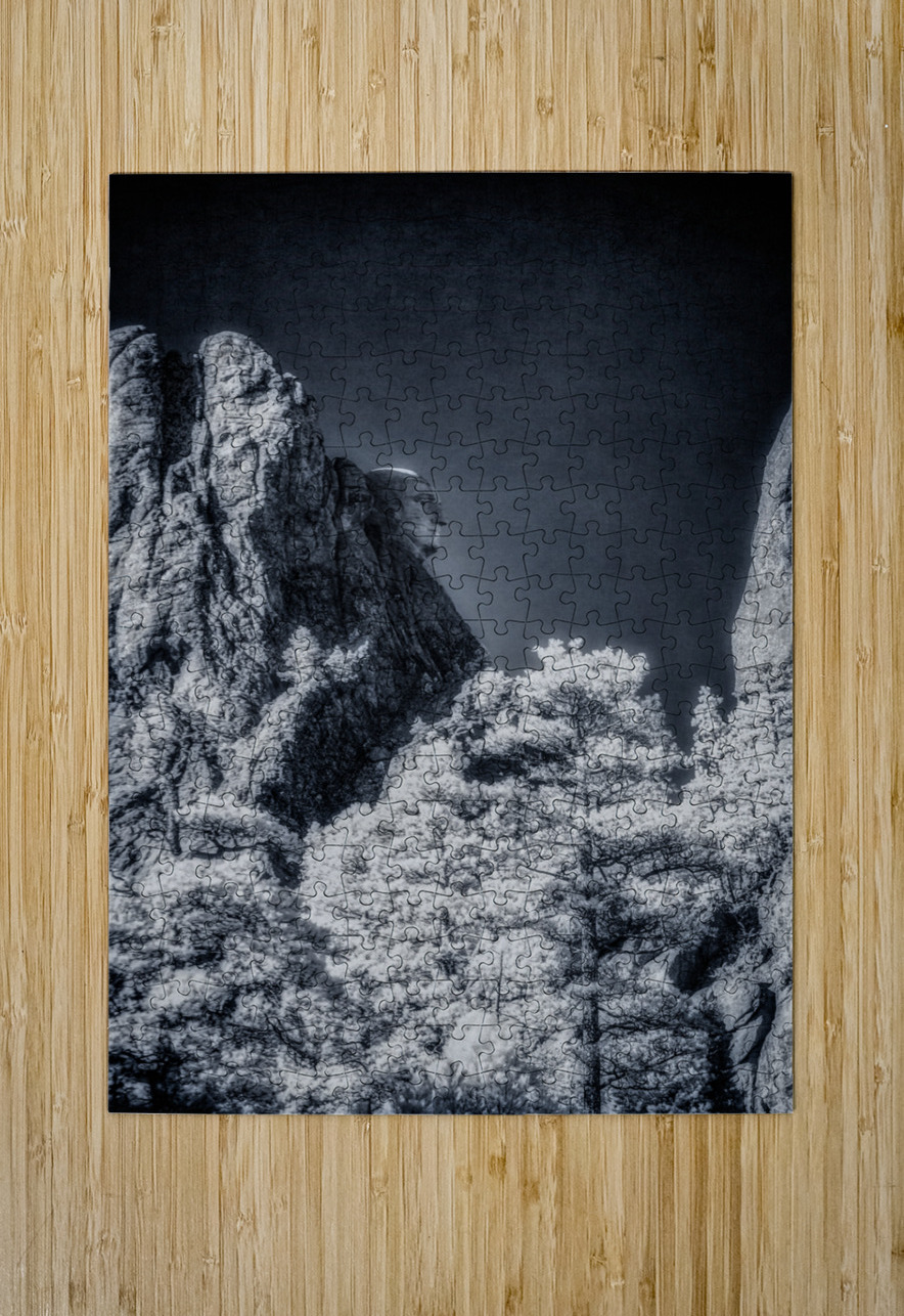 Washingtons Profile in Time Dream World Images Puzzle printing