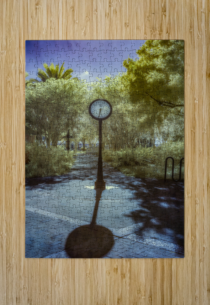 Springtime Serenity: Exploring Saint Marys Riverside Park Dream World Images Puzzle printing