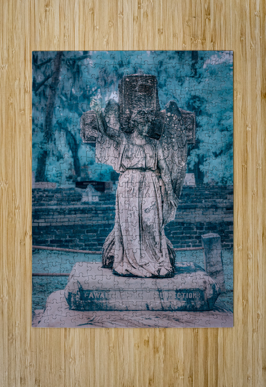 Rainy Day Reflections: Exploring Oak Grove Cemeterys Angel Memo Dream World Images Puzzle printing