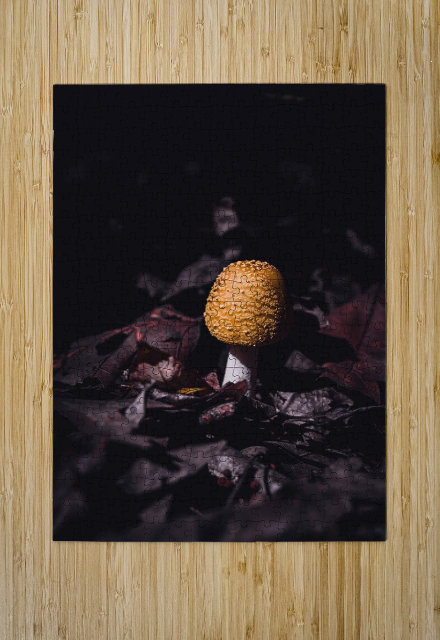 Mystical Fungi: Helmet among the Dead Leaves Dream World Images Puzzle printing
