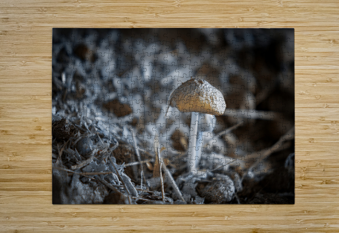 Montana Ranch Shroom: Whispering Wind Toadstool Dream World Images Puzzle printing