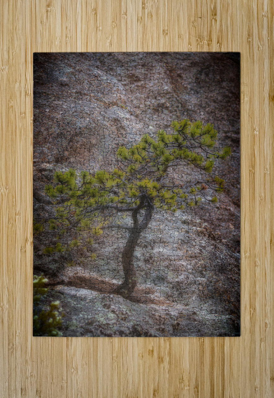 Solitary Pine on Granite: A Snapshot of Sylvan Lakes Tranquility Dream World Images Puzzle printing