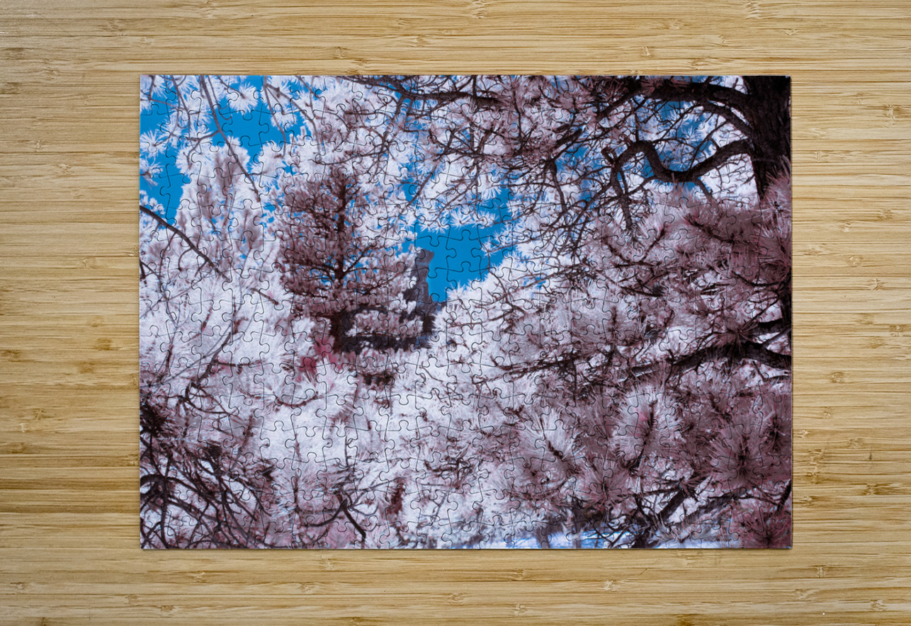 Chautauqua Chronicles: Pink Frame Dream World Images Puzzle printing