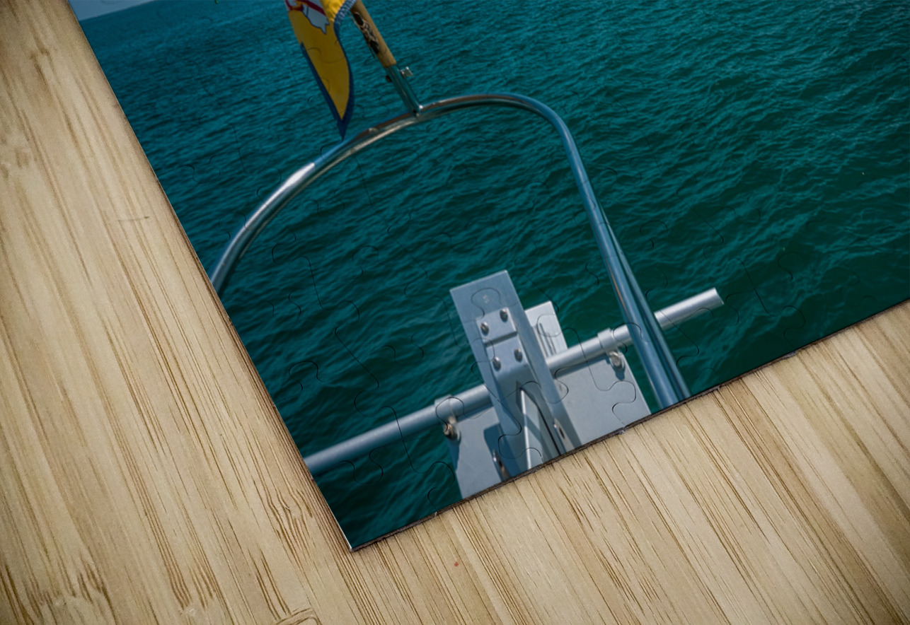 Great loop bow-2 Dream World Images Puzzle