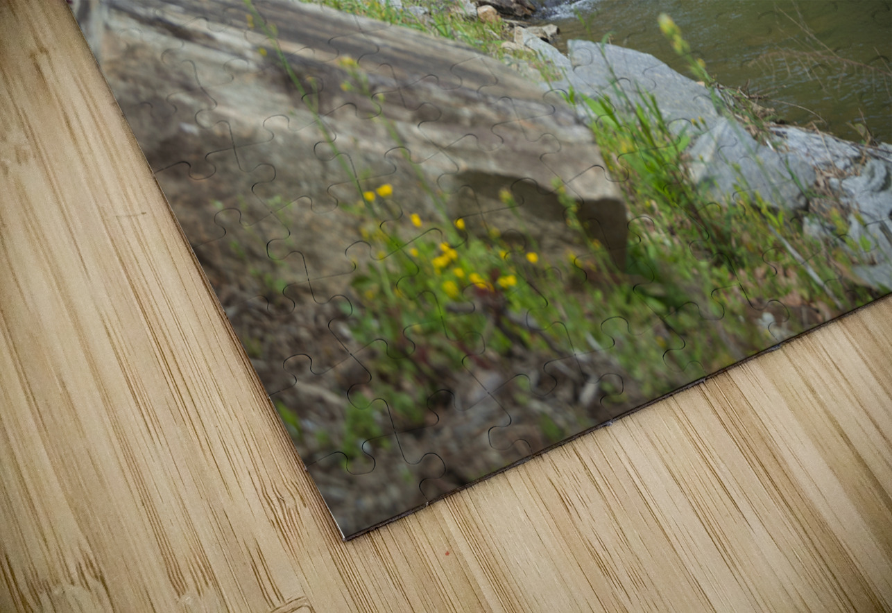 Flowing Tranquility Dream World Images Puzzle