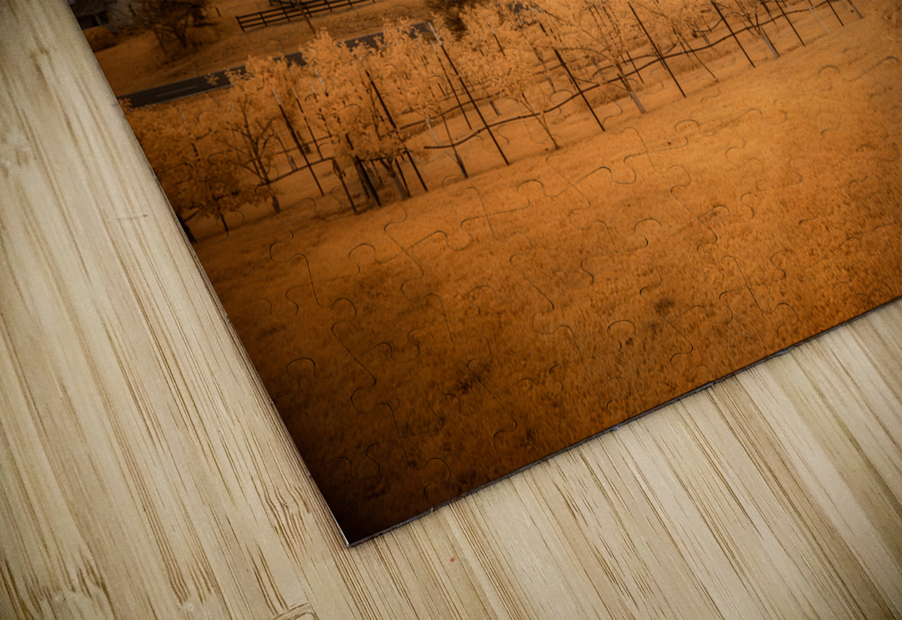 Golden Vineyard Dream World Images Puzzle