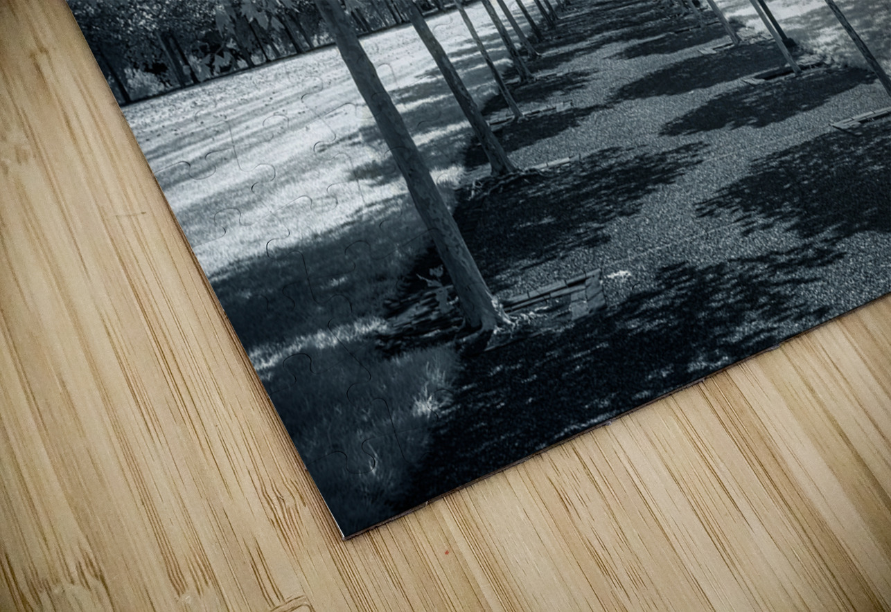 Canopy of Silent Shadows Dream World Images Puzzle