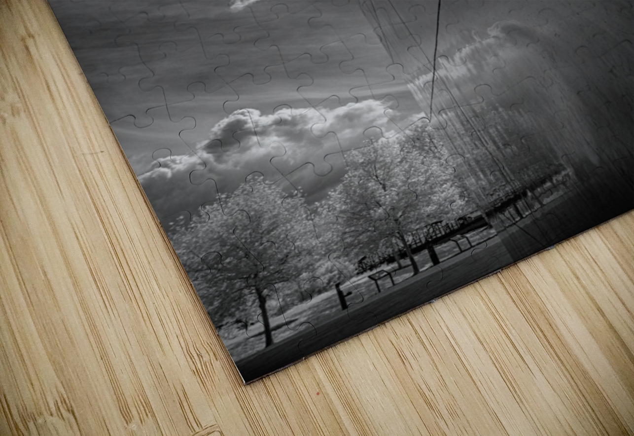 Reflective Harmony in Monochrome Dream World Images Puzzle