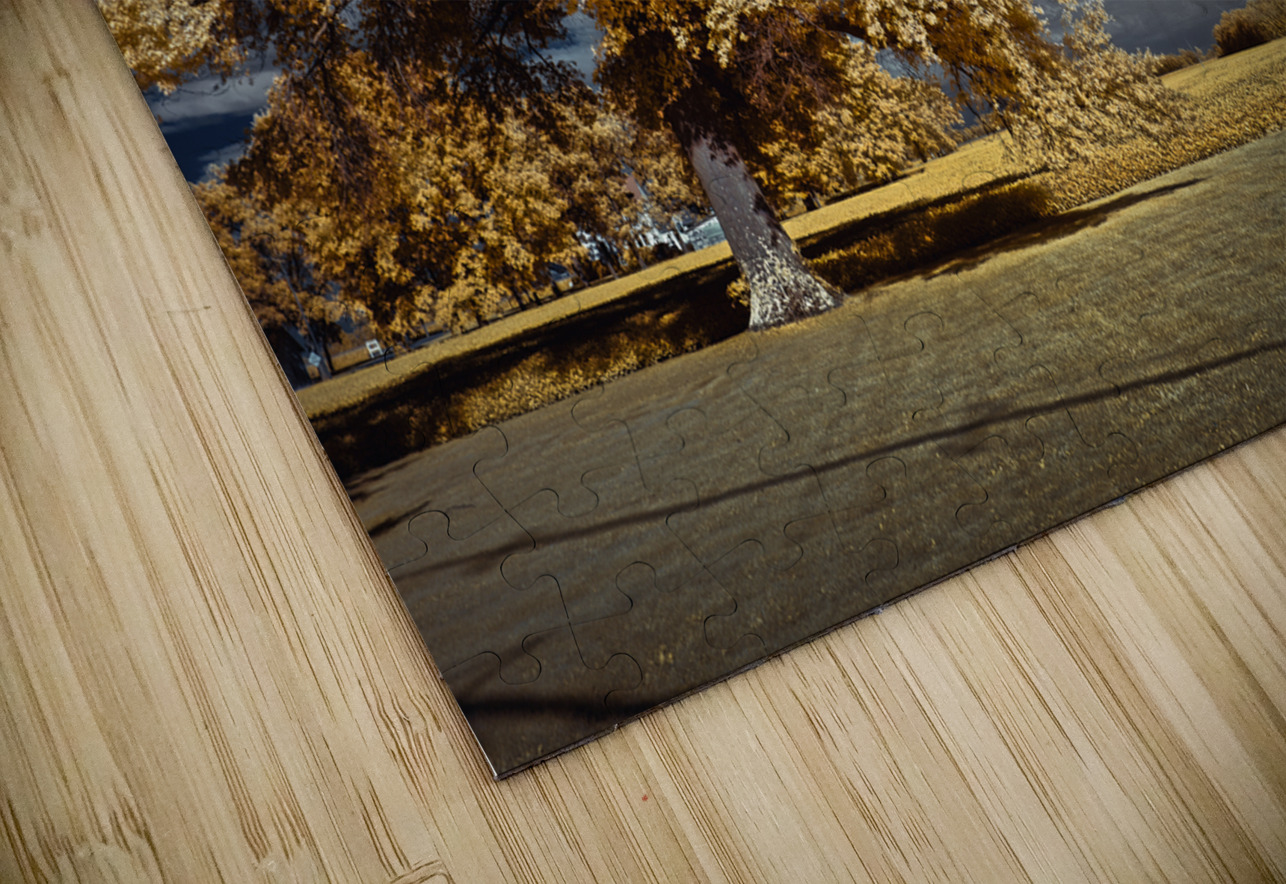 Vibrant Sentinel Dream World Images Puzzle