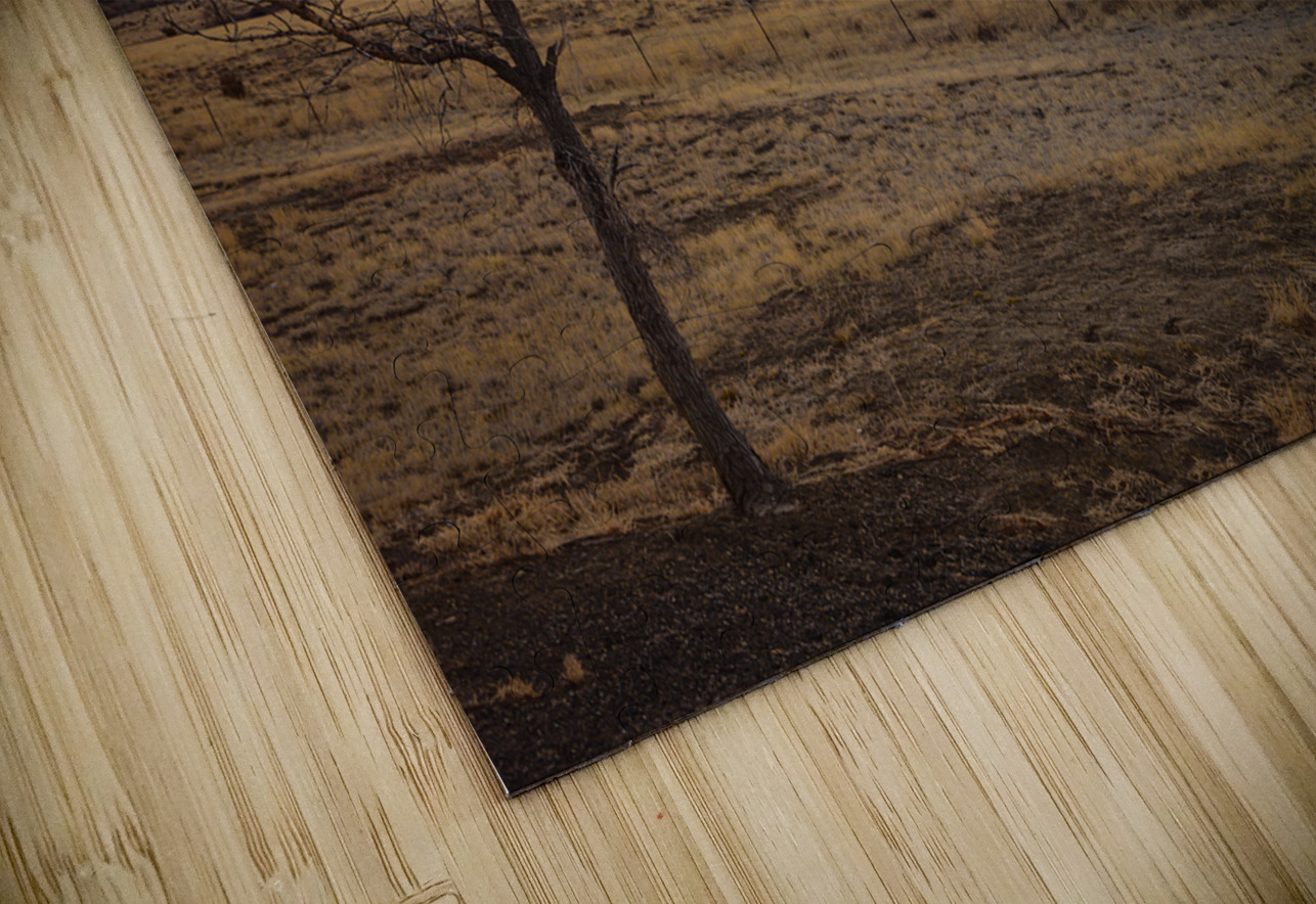 Heavens blaze: sunset symphony in Cold Beer New Mexico Dream World Images Puzzle