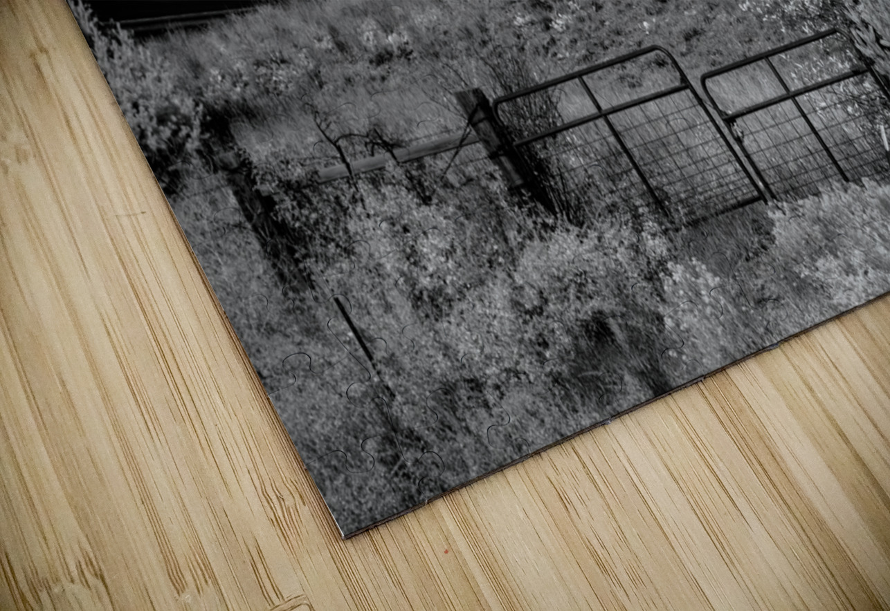 Haunted Echoes of an Abandoned Past Dream World Images Puzzle