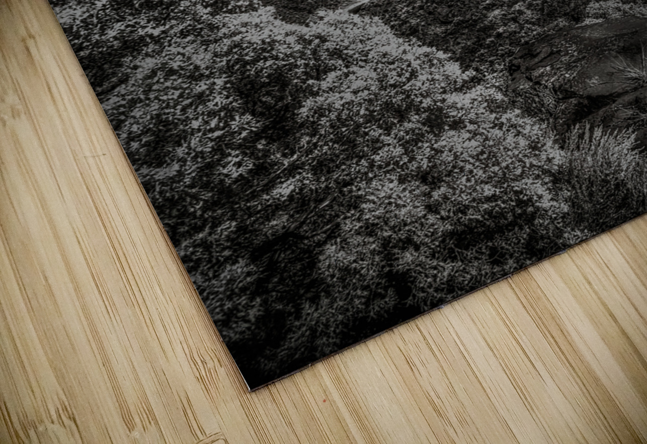 Whispers of the Rio Grande Dream World Images Puzzle