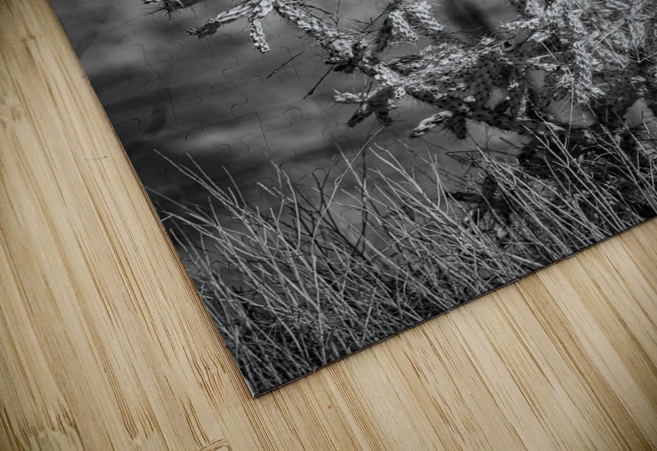 Solitude of Spine Dream World Images Puzzle