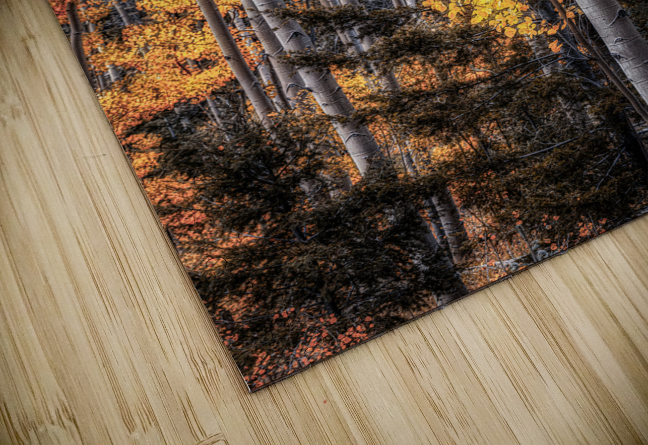 Warmth Amidst the Shadows Dream World Images Puzzle