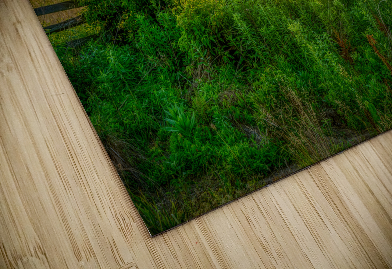 Fenceline sunset Dream World Images Puzzle