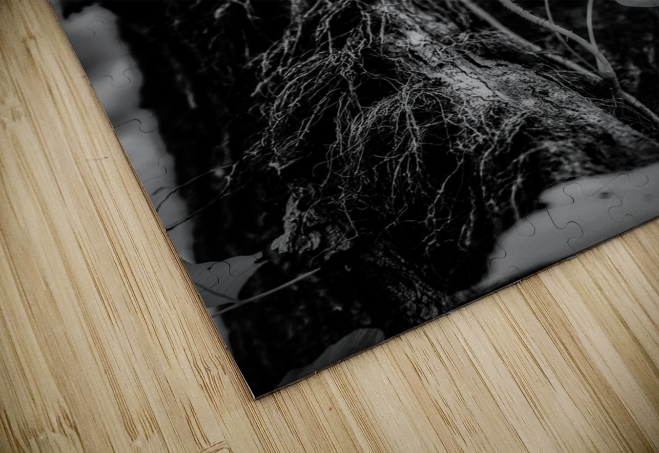 Natures Delicate Balance Dream World Images Puzzle