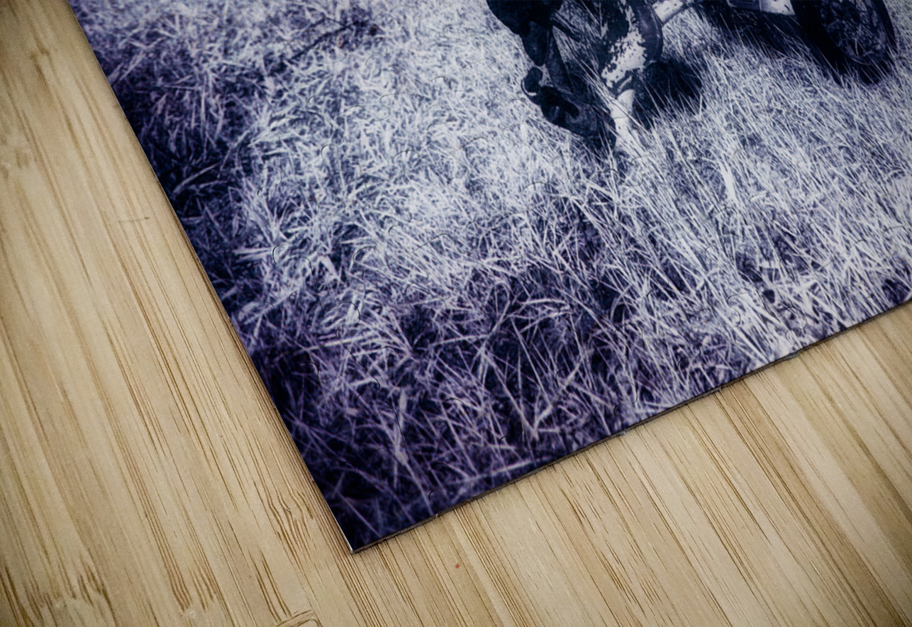 Rustic Relic - Blue Trike Dream World Images Puzzle