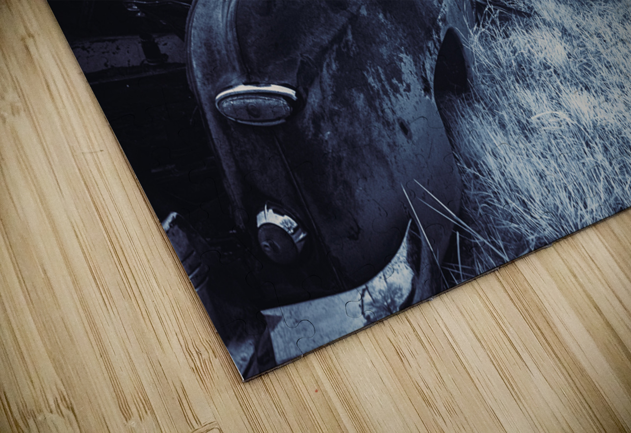 Rustic Relic - Rusted Open Door Dream World Images Puzzle