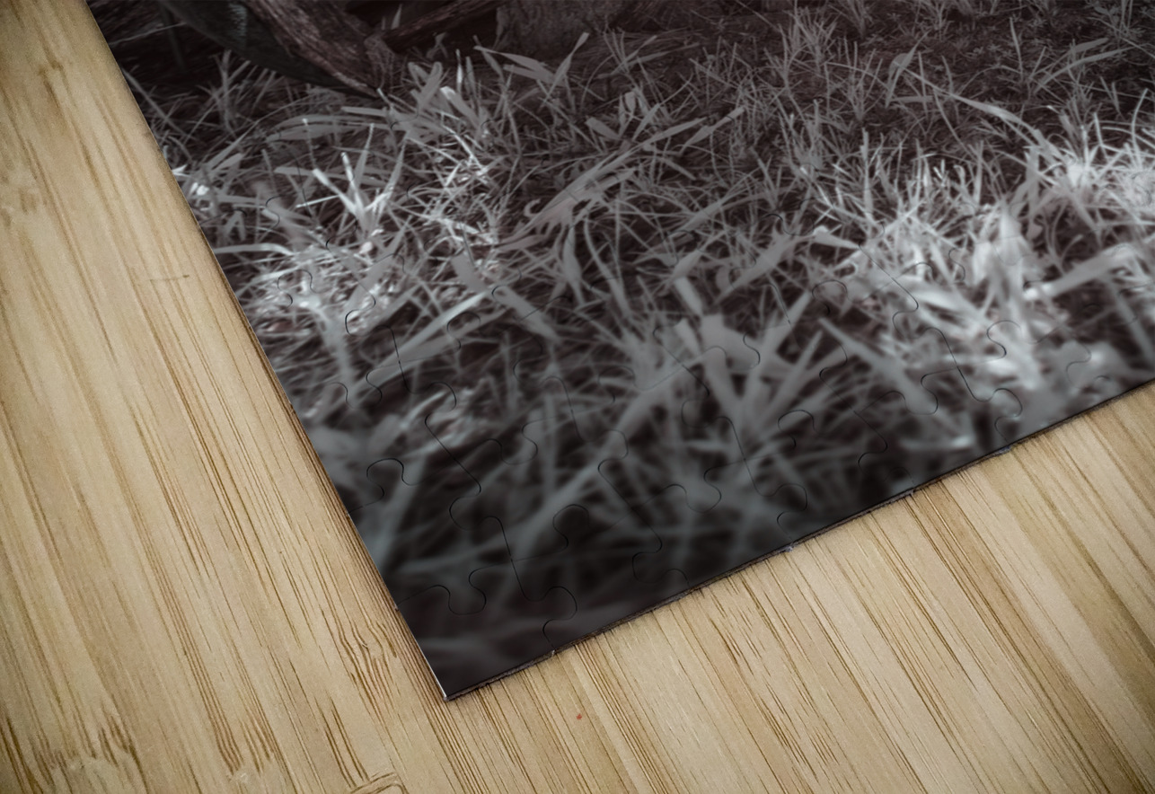 Rustic Relic - Wooden Wheel Dream World Images Puzzle