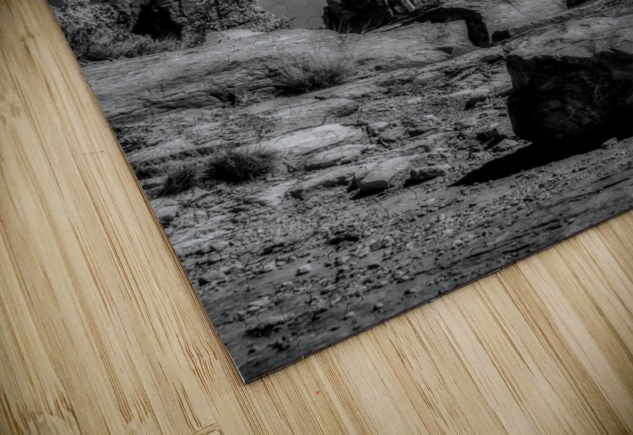 Boulder and Branch Under Silent Clouds Dream World Images Puzzle