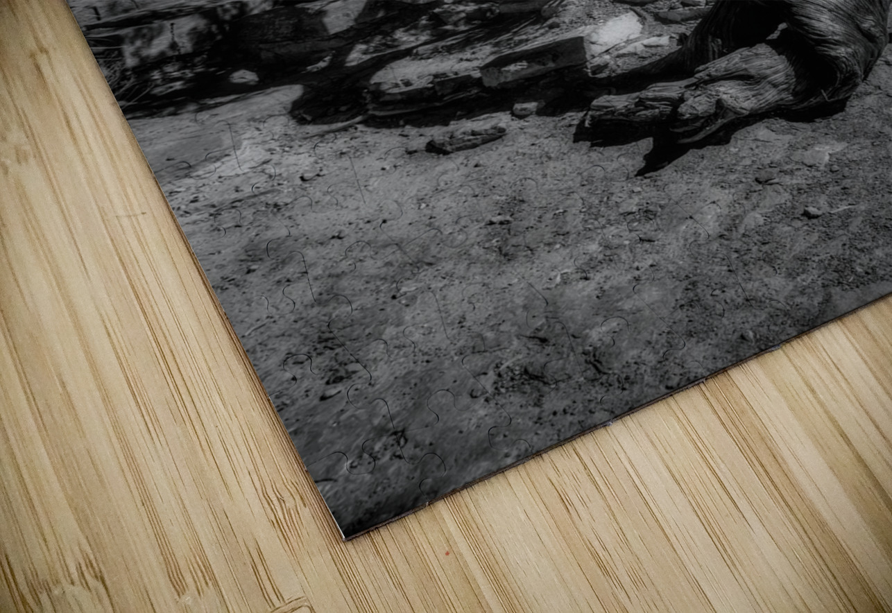 Twisted Elegance Beneath Stark Skies Dream World Images Puzzle