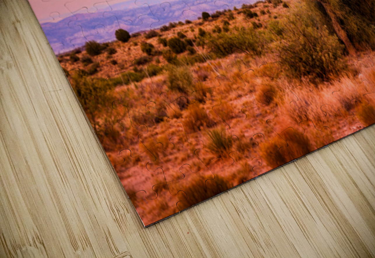 WHISPERS THROUGH THE SUNLIT CANOPY Dream World Images Puzzle