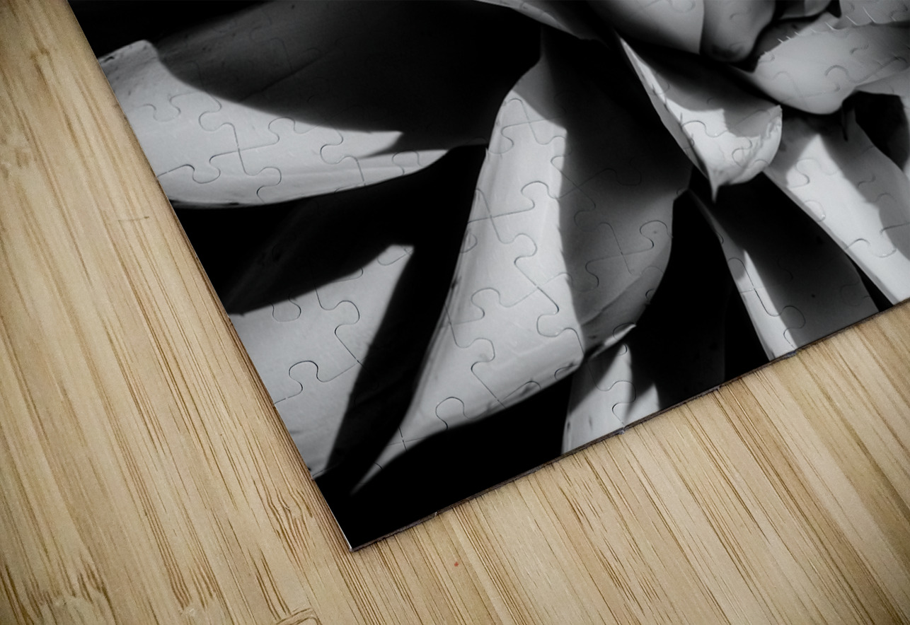 Silent Symphony of Leafy Angles Dream World Images Puzzle