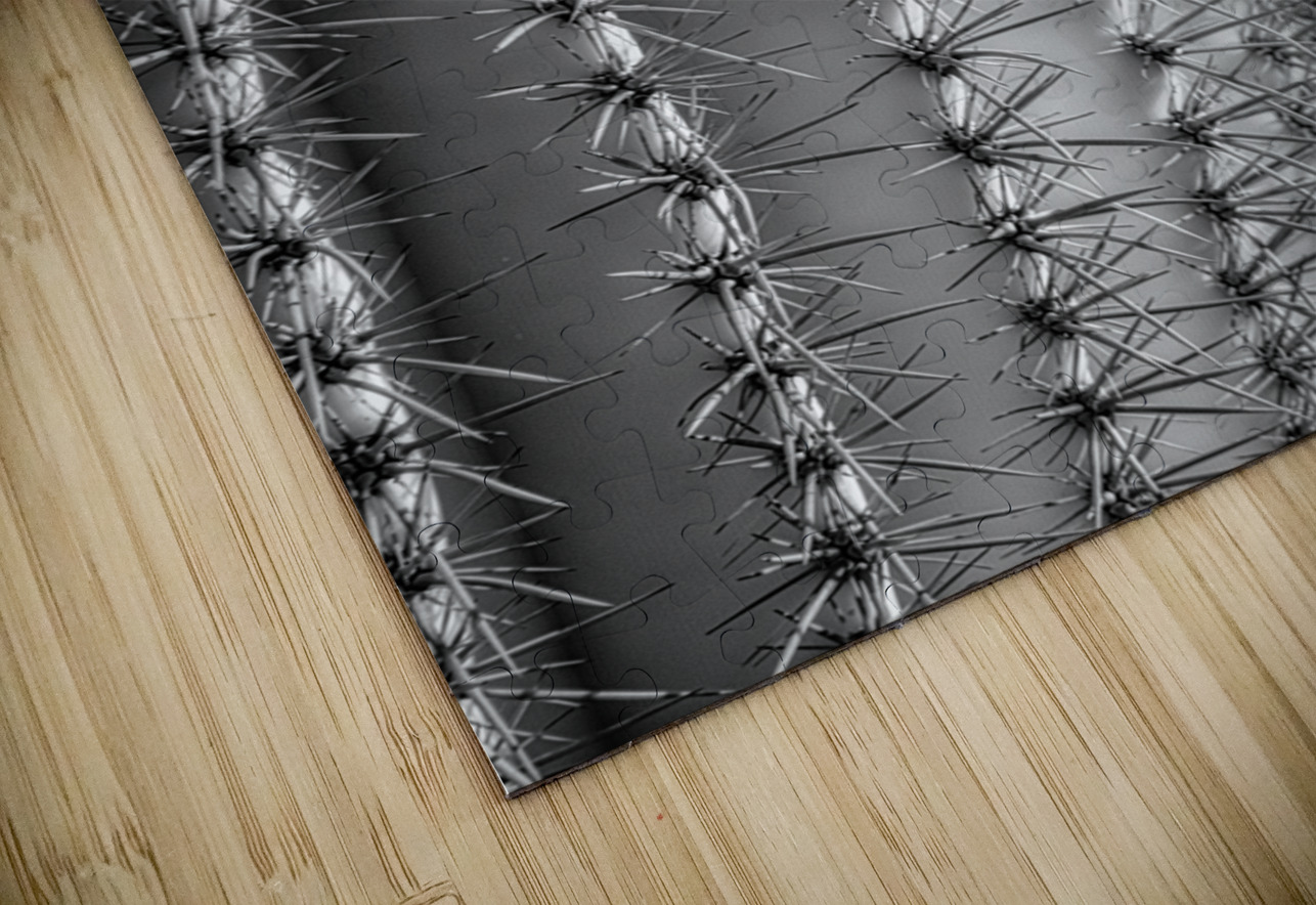 Prickly Pathway Dream World Images Puzzle