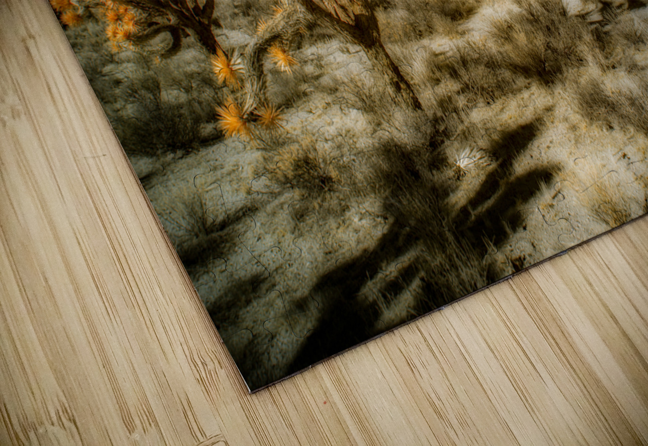 Joshuas Celestial Canopy Dream World Images Puzzle