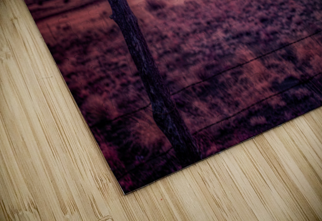 Timeless Solitude Under Painted Skies Dream World Images Puzzle