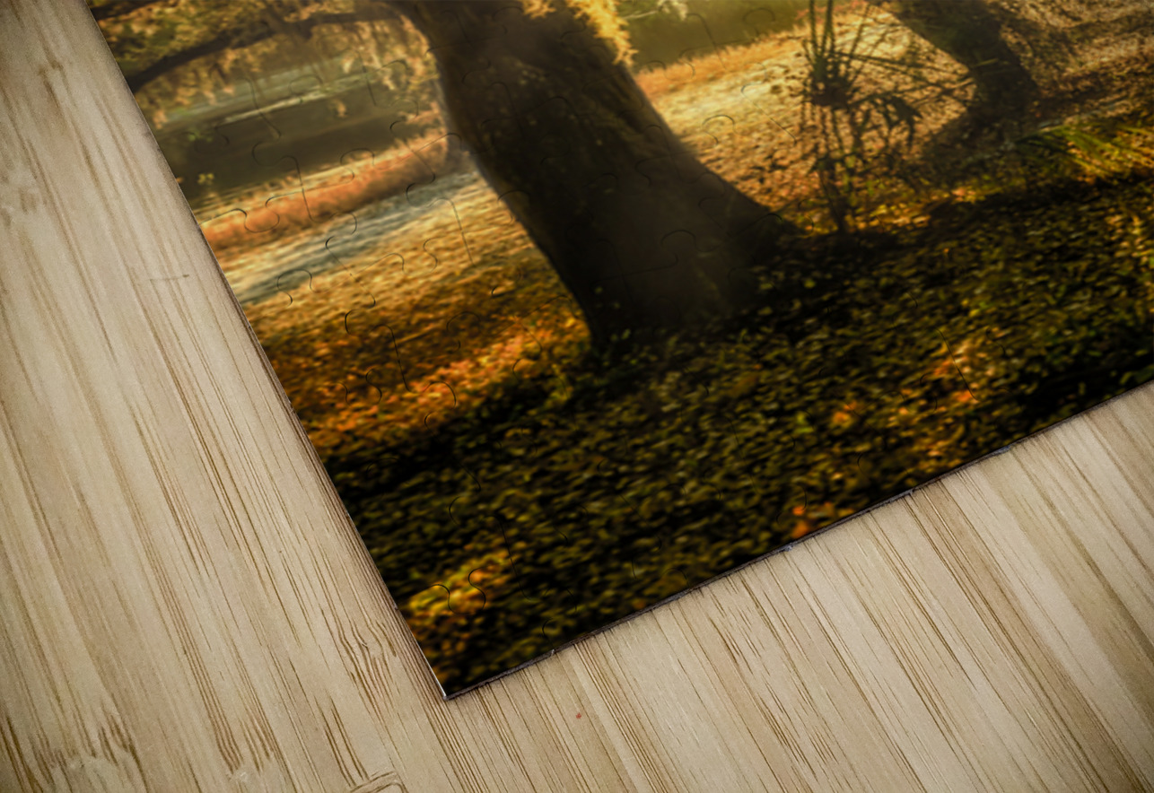 Golden Oak Light Dream World Images Puzzle