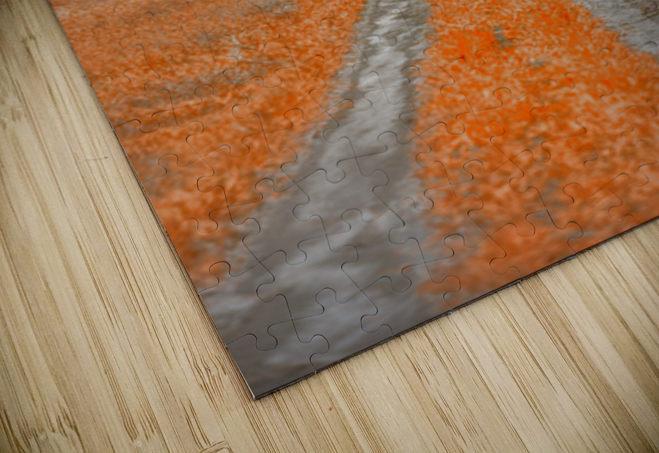 Copper Prairie Path Dream World Images Puzzle