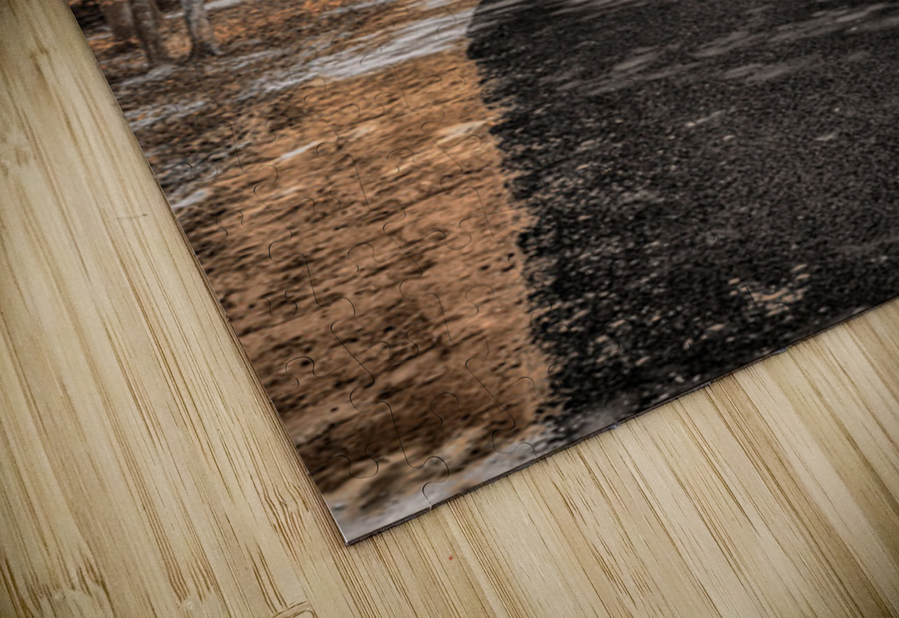 Golden Path Dream World Images Puzzle