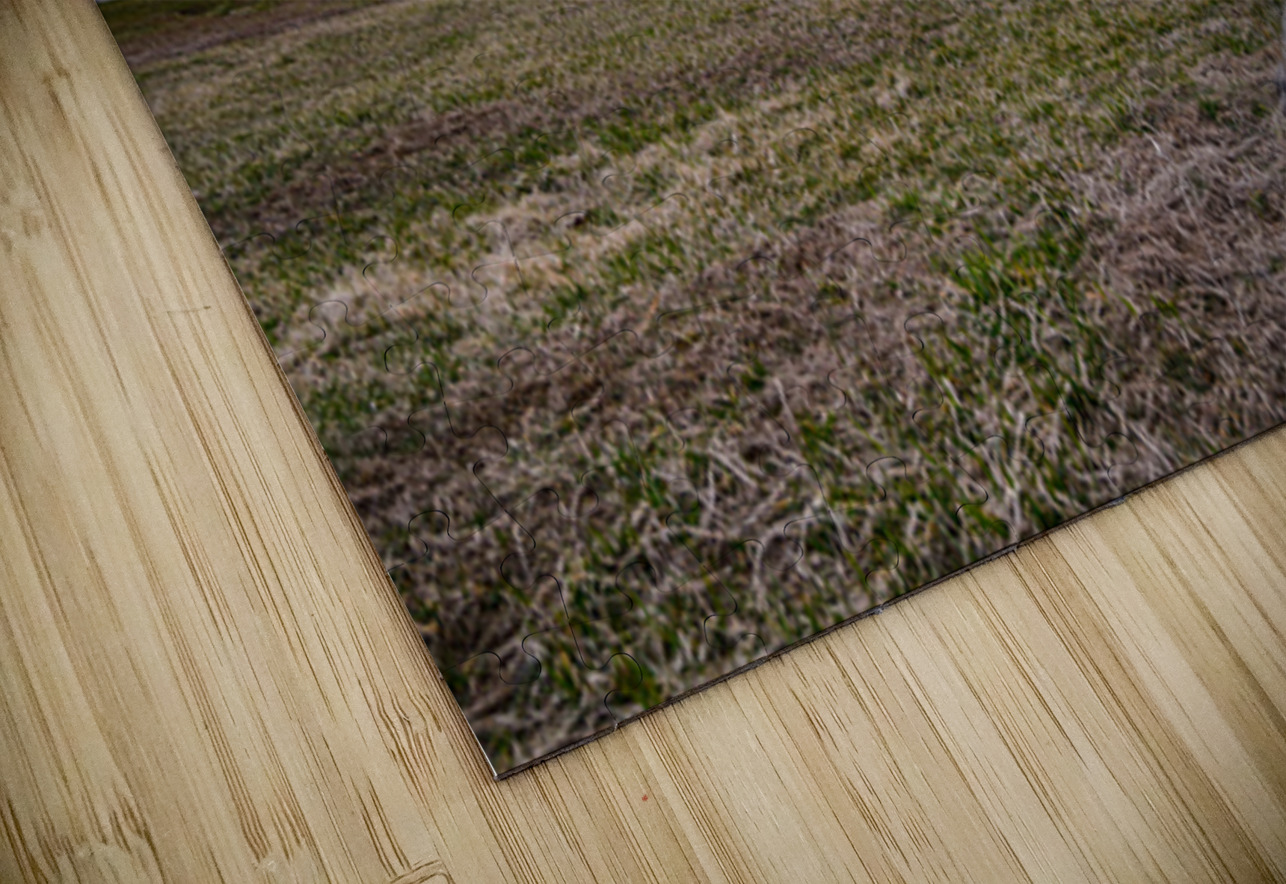 Pennsylvania Monument Sunset Dream World Images Puzzle