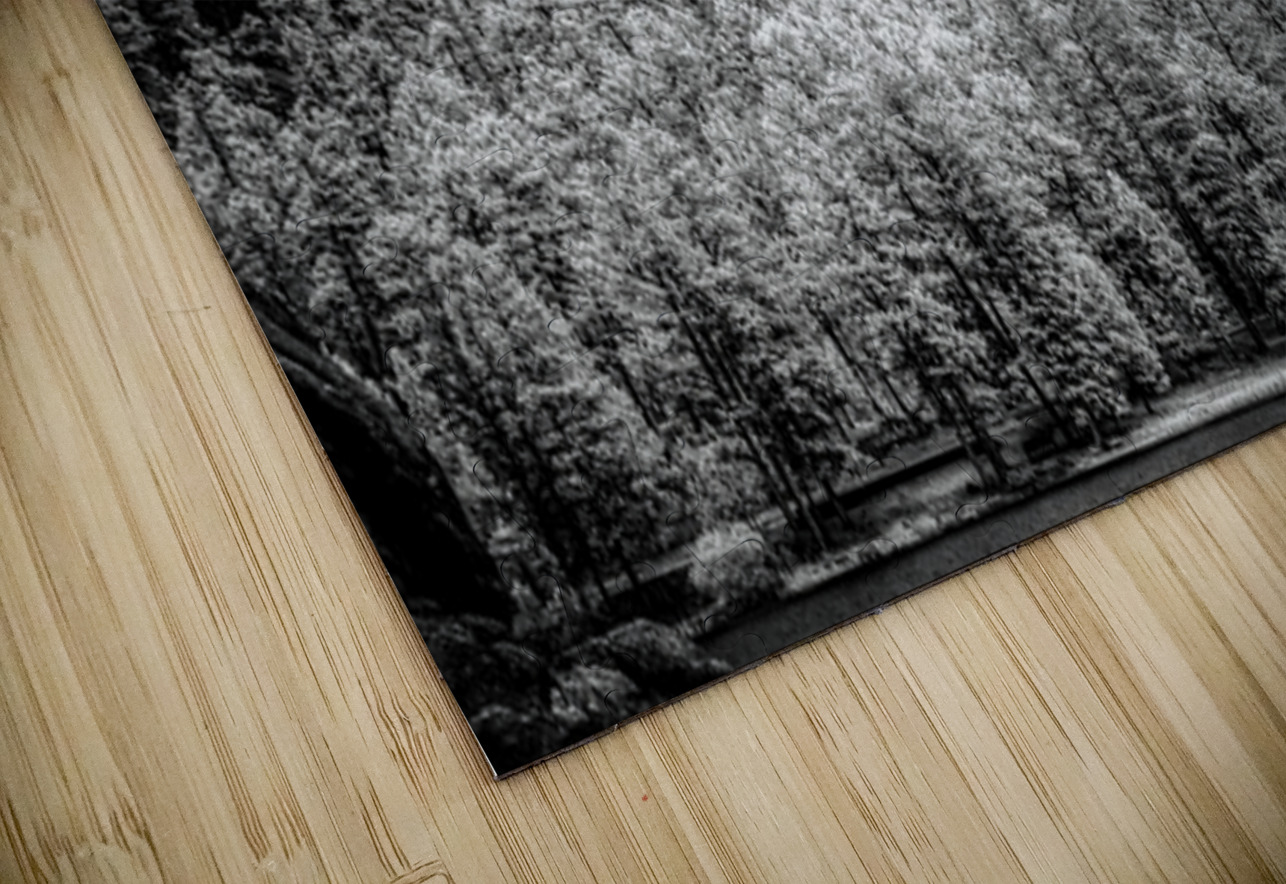 Sylvan Shadows: A Moody Encounter with Natures Drama in Custer  Dream World Images Puzzle