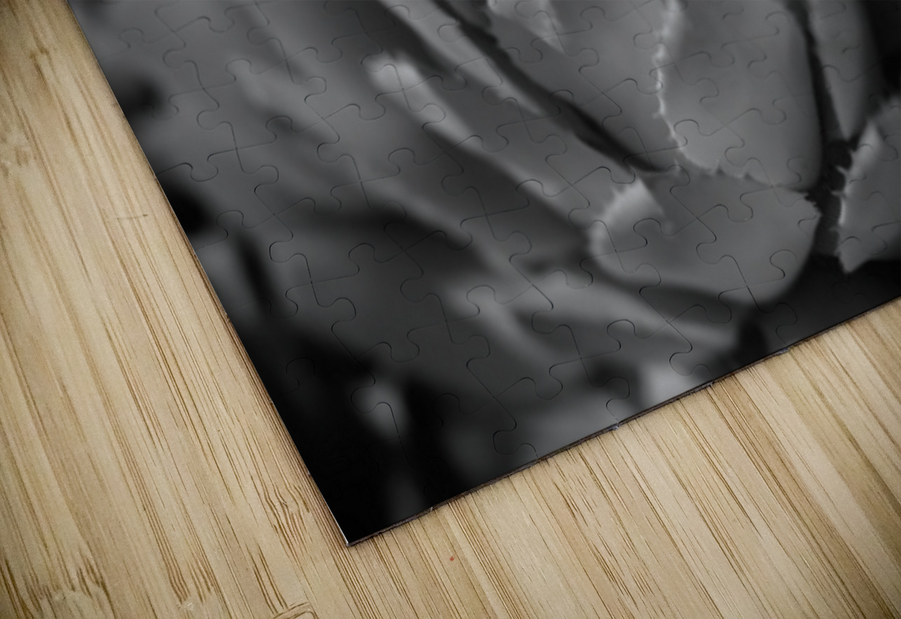 Natures Shadow Ballet Dream World Images Puzzle