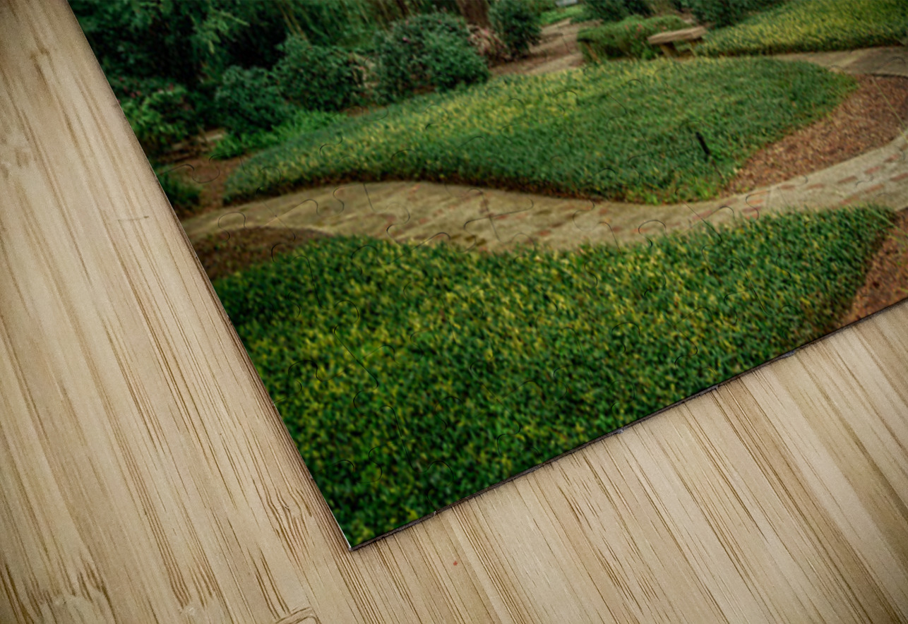 Labyrinths Promise Dream World Images Puzzle