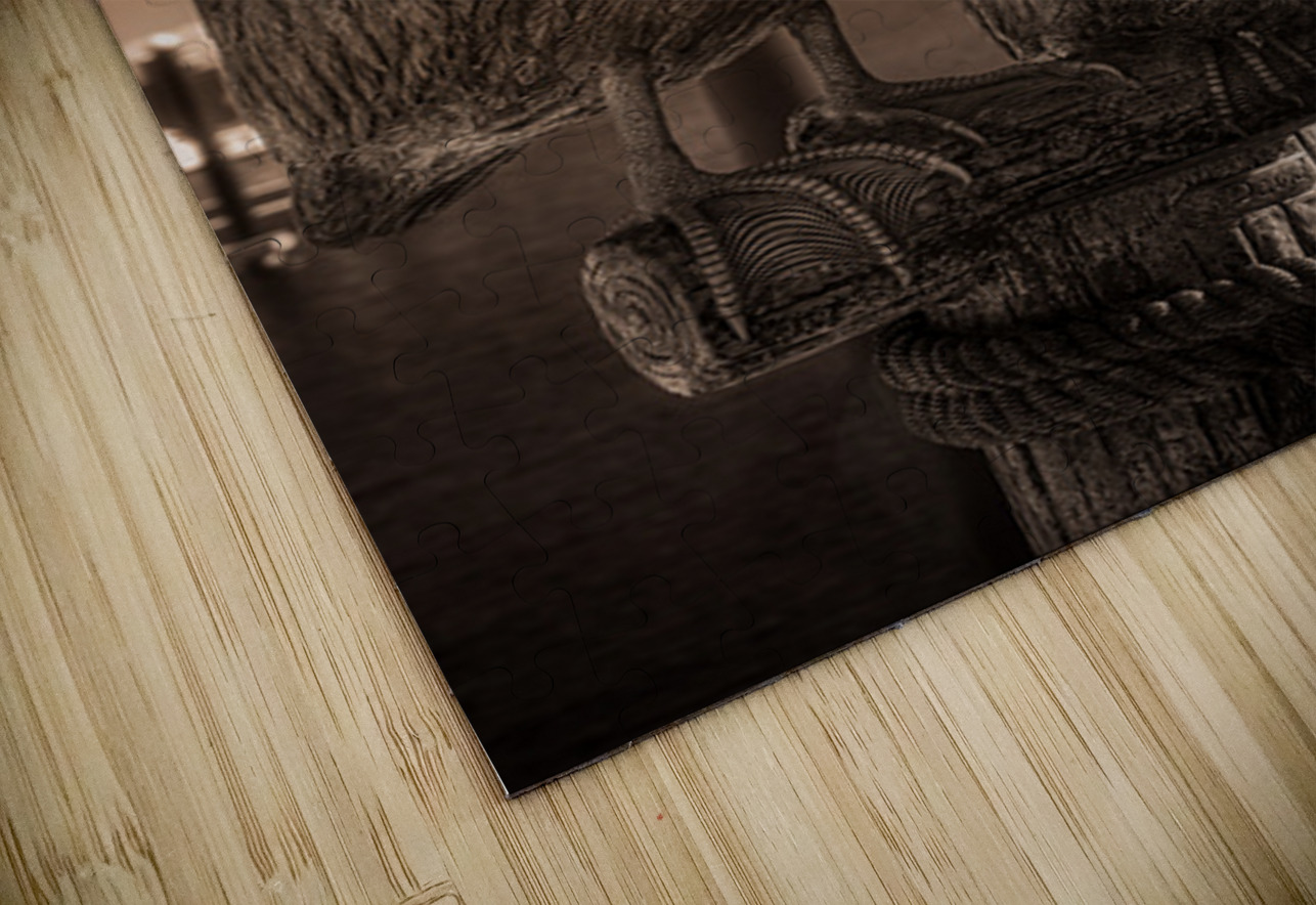 Coastal Guardians Dream World Images Puzzle